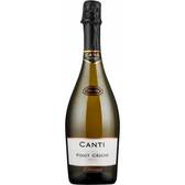 Вино игристое Canti Pinot Grigio Brut Blanc белое брют 0,75л 11% Шампанское и игристое вино в GRADUS.MARKET. Тел: 063 6987172. Доставка, гарантия, лучшие цены!, фото1