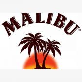 Ликер Malibu 0,7л 21% Ликеры в GRADUS.MARKET. Тел: 063 6987172. Доставка, гарантия, лучшие цены!, фото5