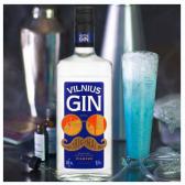 Джин Vilnius Gin 45% 0,5 л 45% Джин на GRADUS.MARKET. Тел: 063 6987172. Доставка, гарантія, кращі ціни!, фото2