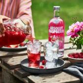 Водка Absolut Respberri 0,7л 40% Настоянки в GRADUS.MARKET. Тел: 063 6987172. Доставка, гарантия, лучшие цены!, фото4