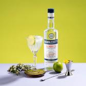 Ликер анисовый Ramazzotti Sambuca 0,7л 38% Самбука в GRADUS.MARKET. Тел: 063 6987172. Доставка, гарантия, лучшие цены!, фото2