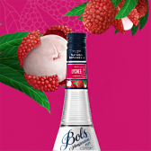 Ликер Bols Lychee 0,7л 17% Ликеры в GRADUS.MARKET. Тел: 063 6987172. Доставка, гарантия, лучшие цены!, фото2