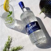 Джин італійський Kapriol Gin Old Tom 0,7л 41,7% Джин на GRADUS.MARKET. Тел: 063 6987172. Доставка, гарантія, кращі ціни!, фото4