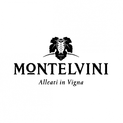 Вино игристое Montelvini Prosecco DOC Spumante Extra Dry 0,75 л 11% Просекко в GRADUS.MARKET. Тел: 063 6987172. Доставка, гарантия, лучшие цены!