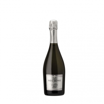 Вино Spumante Cuvee Brut Negroni Sparkling Wine 0,75л 11% Шампанское брют в GRADUS.MARKET. Тел: 063 6987172. Доставка, гарантия, лучшие цены!