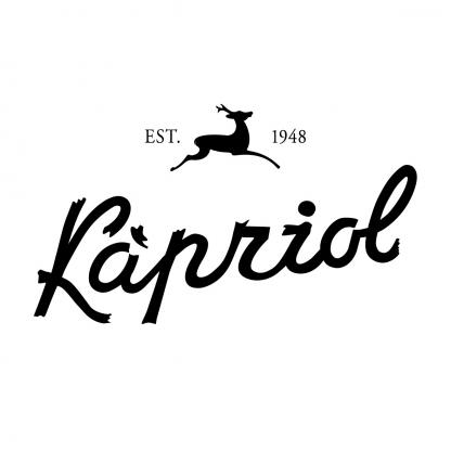 Джин Kapriol Dry Gin 0,7л 41,70% Алкоголь и слабоалкогольные напитки в GRADUS.MARKET. Тел: 063 6987172. Доставка, гарантия, лучшие цены!