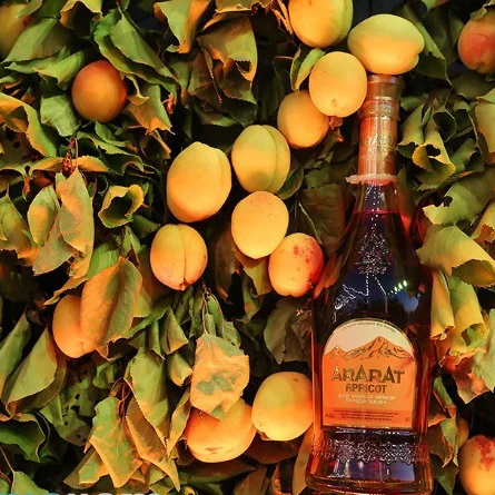 Міцний алкогольний напій Ararat Apricot 0,7 л 35% Коньяк витримка 6 років на GRADUS.MARKET. Тел: 063 6987172. Доставка, гарантія, кращі ціни!, фото4