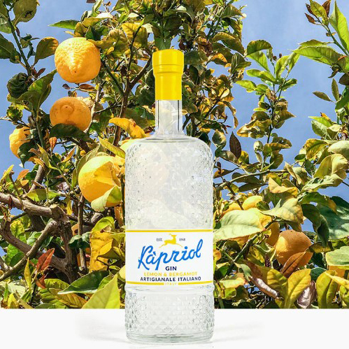 Джин італійський Kapriol Gin Lemone&Bergamotto 0,7л 40,7% Джин на GRADUS.MARKET. Тел: 063 6987172. Доставка, гарантія, кращі ціни!, фото2